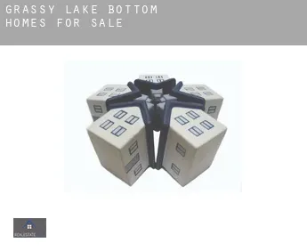 Grassy Lake Bottom  homes for sale