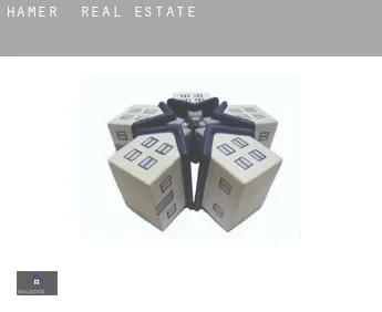 Hamer  real estate