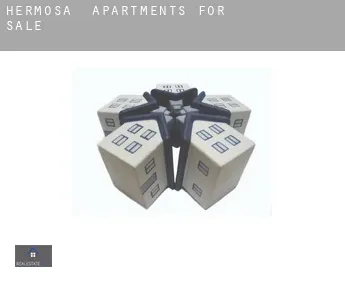 Hermosa  apartments for sale