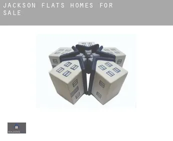 Jackson Flats  homes for sale