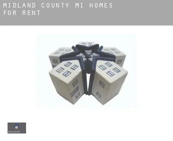 Midland County  homes for rent