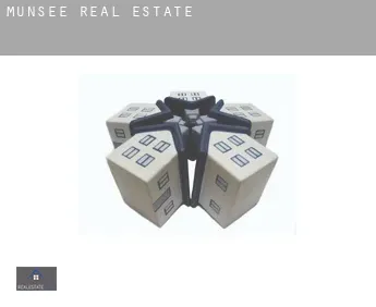 Munsee  real estate