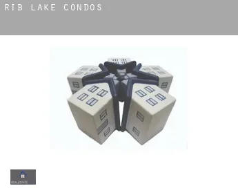 Rib Lake  condos