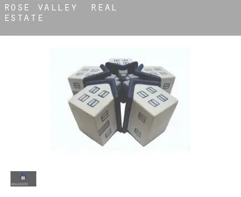 Rose Valley  real estate