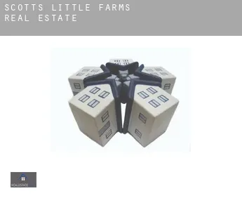 Scotts Little Farms  real estate