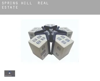 Spring Hill  real estate