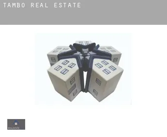 Tambo  real estate