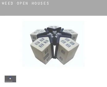 Weed  open houses