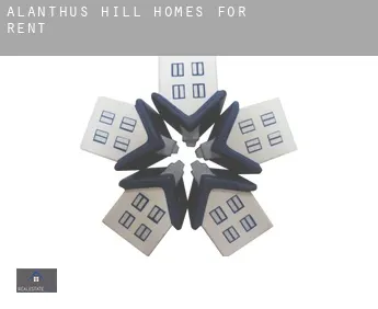 Alanthus Hill  homes for rent