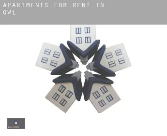 Apartments for rent in  Owl
