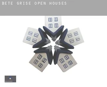 Bete Grise  open houses