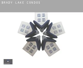 Brady Lake  condos