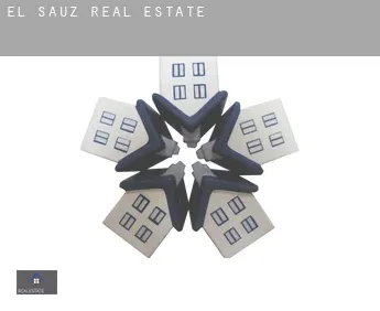 El Sauz  real estate