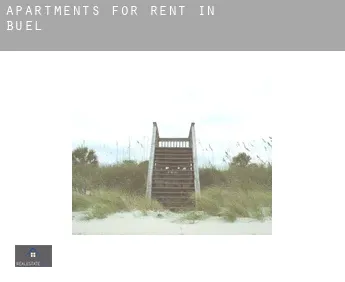 Apartments for rent in  Buel