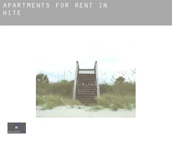 Apartments for rent in  Hite