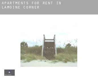 Apartments for rent in  Lamoine Corner