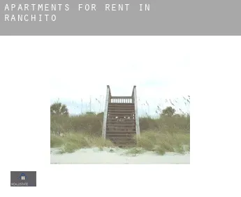 Apartments for rent in  Ranchito