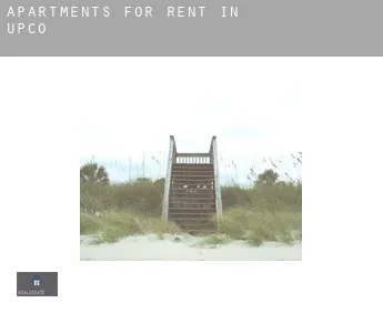 Apartments for rent in  Upco