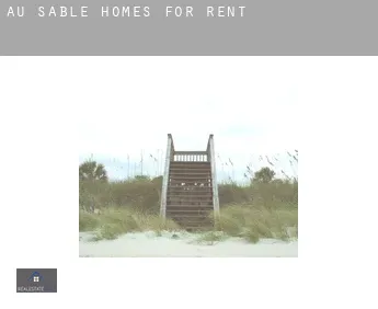 Au Sable  homes for rent