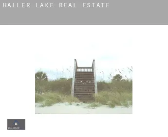 Haller Lake  real estate