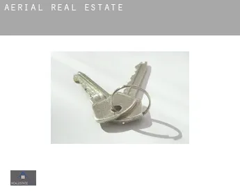 Aerial  real estate