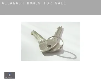 Allagash  homes for sale