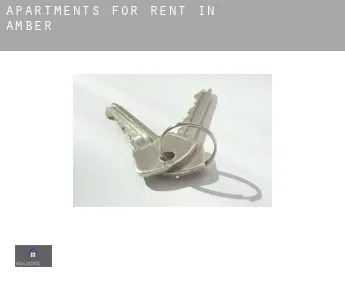 Apartments for rent in  Amber