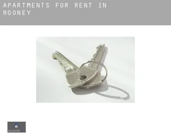 Apartments for rent in  Rooney