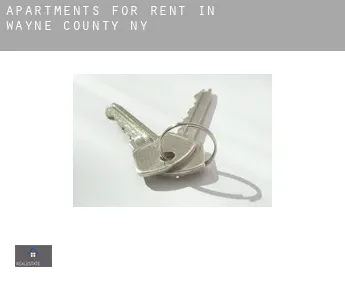 Apartments for rent in  Wayne County