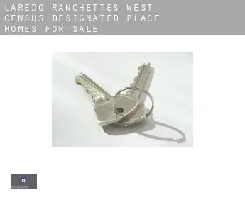 Laredo Ranchettes - West  homes for sale