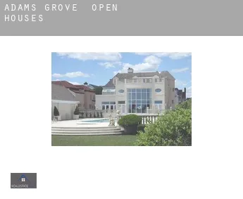 Adams Grove  open houses