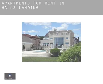 Apartments for rent in  Halls Landing