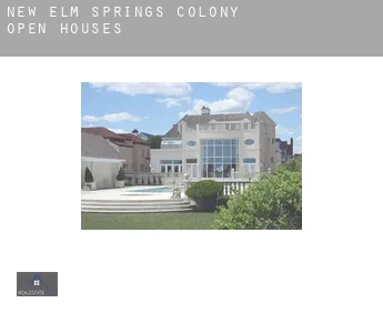 New Elm Springs Colony  open houses