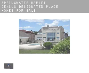 Springwater Hamlet  homes for sale