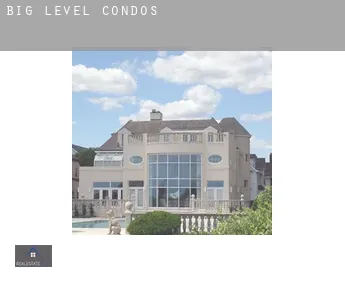 Big Level  condos