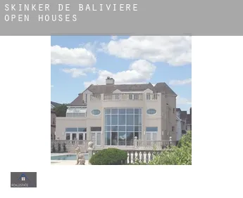 Skinker-De Baliviere  open houses