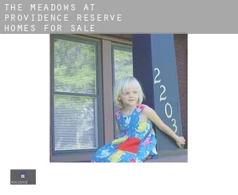 The Meadows at Providence Reserve  homes for sale