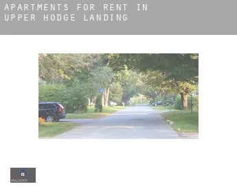 Apartments for rent in  Upper Hodge Landing