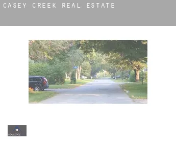 Casey Creek  real estate