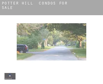 Potter Hill  condos for sale