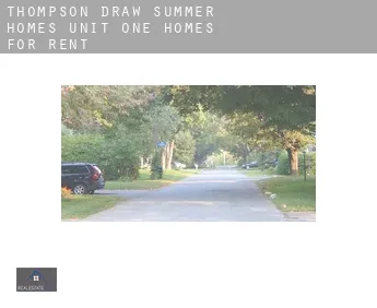 Thompson Draw Summer Homes Unit One  homes for rent