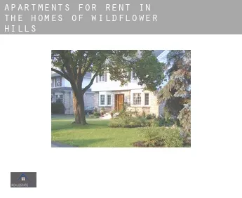 Apartments for rent in  The Homes Of Wildflower Hills