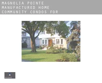 Magnolia Pointe Manufactured Home Community  condos for sale