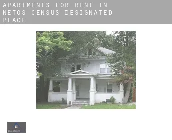 Apartments for rent in  Netos