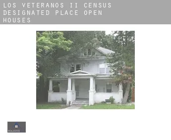 Los Veteranos II  open houses