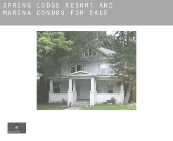 Spring Lodge Resort and Marina  condos for sale