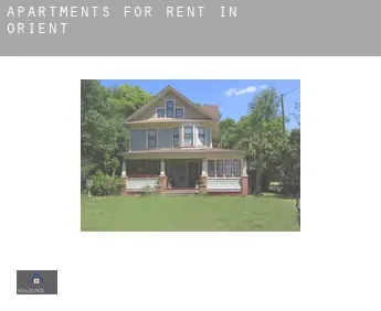 Apartments for rent in  Orient