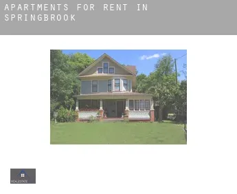 Apartments for rent in  Springbrook