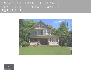 Garza-Salinas II  condos for sale