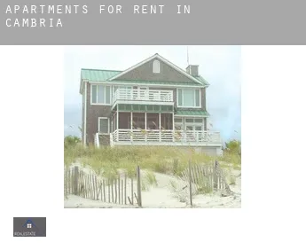 Apartments for rent in  Cambria